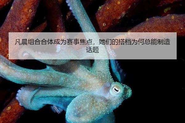 凡晨组合合体成为赛事焦点，她们的搭档为何总能制造话题